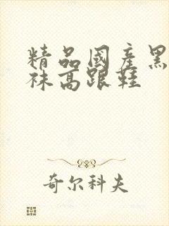 精品国产黑色丝袜高跟鞋