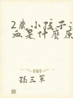 2岁小孩子流鼻血是什么原因引起的