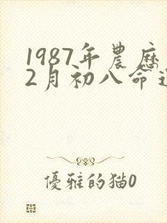 1987年农历2月初八命运封面