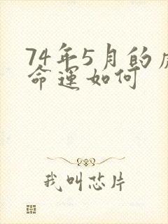 74年5月的虎命运如何