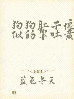 狗狗肚子像拉稀似的响吐黄水