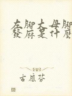 左脚大母脚趾头发麻是什么原因