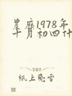 农历1978年十月初四什么命封面