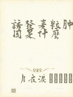 诱发麦粒肿的原因是什么