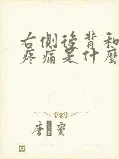 右侧后背和颈部疼痛是什么原因