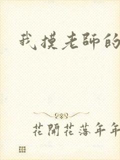 我摸老师的胸封面