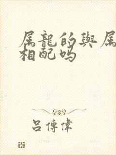 属龙的与属马的相配吗