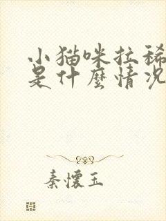 小猫咪拉稀呕吐是什么情况