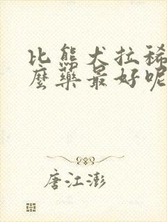 比熊犬拉稀吃什么药最好呢封面