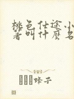 桃色仕途小说原著叫什么名字