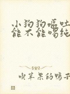 小狗狗呕吐以后能不能喝纯牛奶