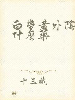 白带黄外阴痒吃什么药