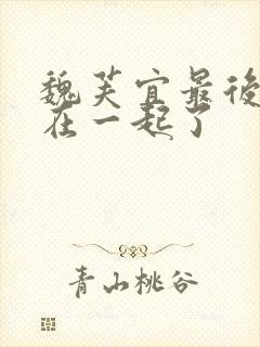 魏芙宜最后和谁在一起了