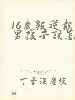 16岁叛逆期的男孩子该怎样去沟通教育