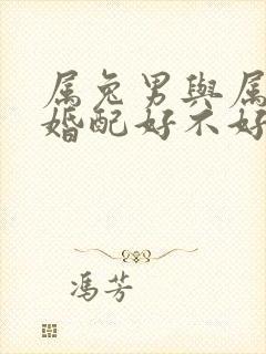 属兔男与属虎女婚配好不好