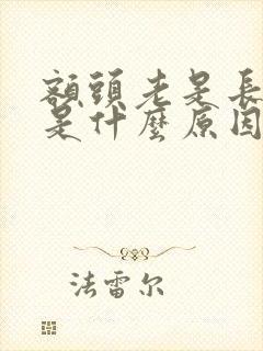 额头老是长粉刺是什么原因