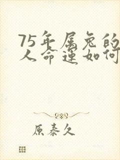 75年属兔的女人命运如何