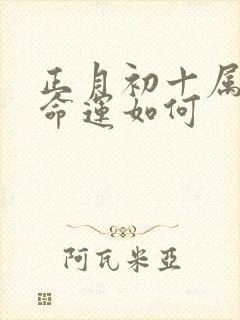 正月初十属狗的命运如何封面