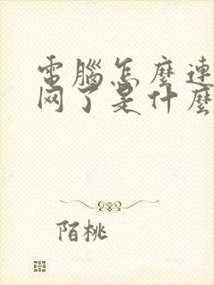 电脑怎么连不上网了是什么原因