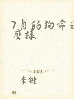 7月的狗命运怎么样封面