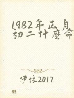 1982年正月初二什么命封面