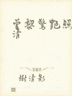 曾黎惊艳照片高清