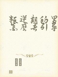 叛逆期的男孩子怎么去引导封面