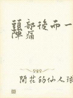 头部后面一阵一阵痛封面