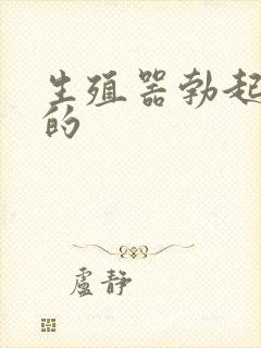 生殖器勃起是弯的