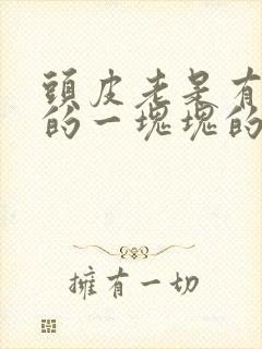 头皮老是有白色的一块块的封面