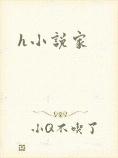 h小说家