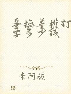 争抚养权打官司要多少钱