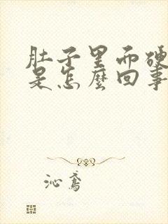 肚子里面硬硬的是怎么回事封面