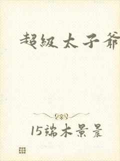 超级太子爷封面