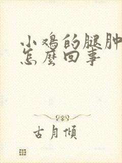 小鸡的腿肿了是怎么回事