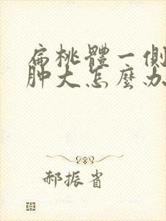 扁桃体一侧发炎肿大怎么办封面