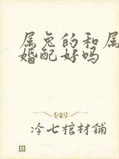 属兔的和属龙的婚配好吗