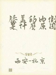 膝盖的内侧疼痛是什么原因