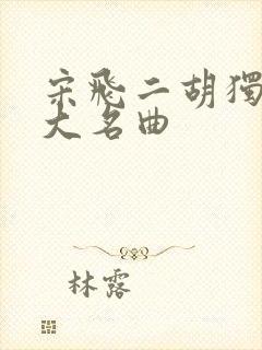 宋飞二胡独奏十大名曲