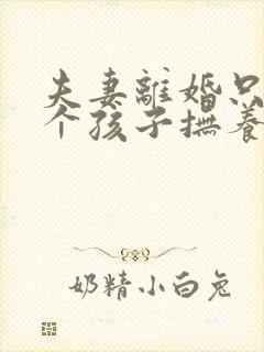 夫妻离婚只有一个孩子抚养权怎么判定封面