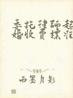 委托律师起诉离婚收费标准封面