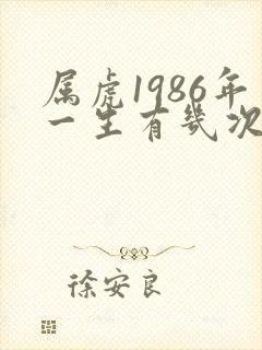属虎1986年一生有几次婚姻