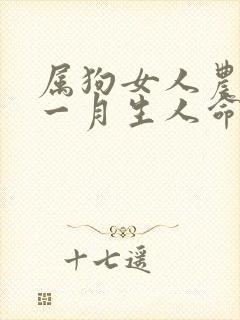 属狗女人农历十一月生人命运