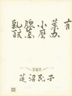 乳腺小叶有增生该怎么办