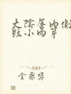 大阴唇内侧小肉粒小肉芽