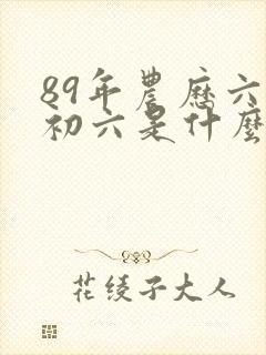 89年农历六月初六是什么星座封面