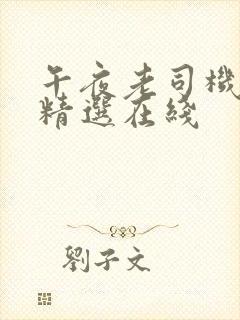 午夜老司机福利精选在线