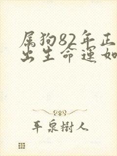 属狗82年正月出生命运如何