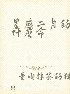 农历二月的马是什么命