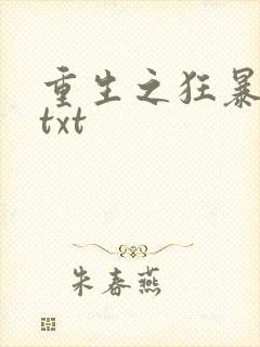 重生之狂暴火法txt